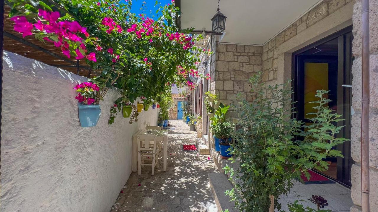 Alayaz Hotel アラカティ エクステリア 写真