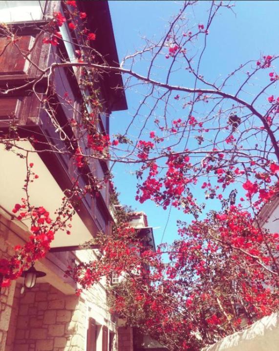 Alayaz Hotel アラカティ エクステリア 写真
