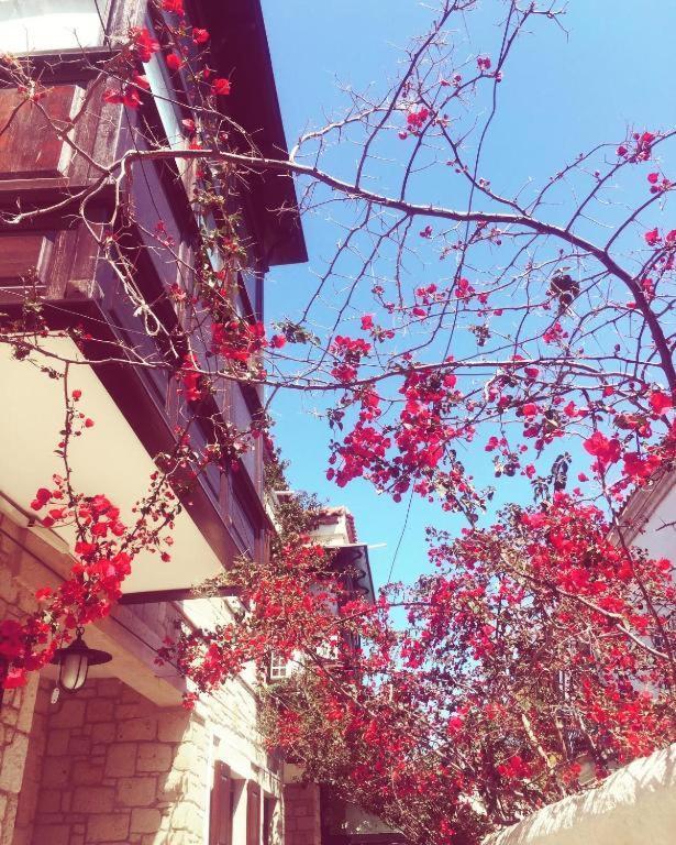 Alayaz Hotel アラカティ エクステリア 写真