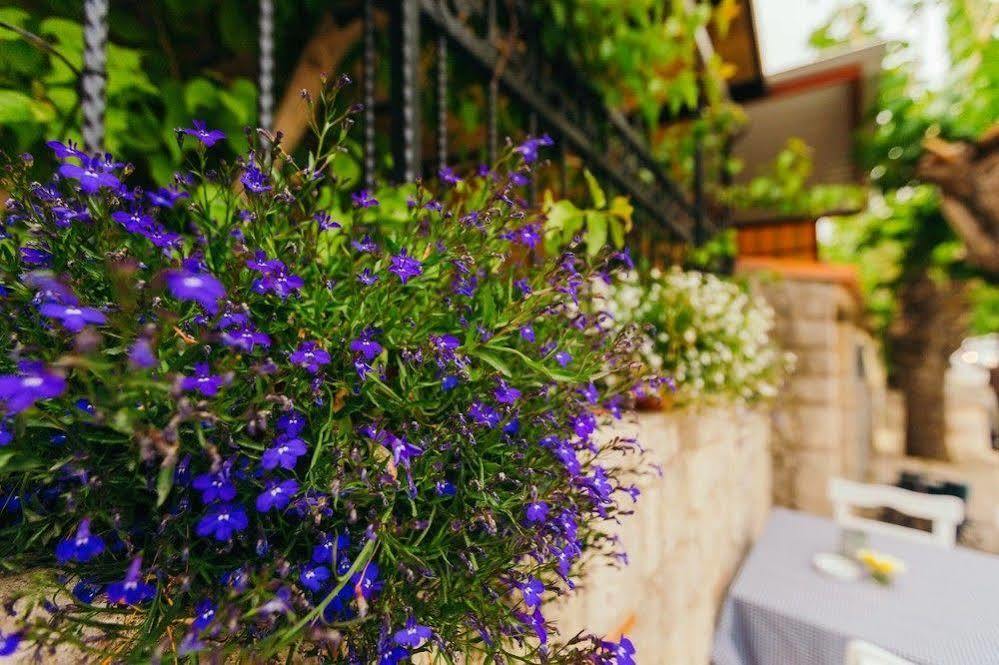 Alayaz Hotel アラカティ エクステリア 写真
